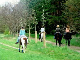 Trail Ride with Cowboy Adventures